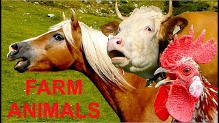 For Kids 30 beautiful farm animals with real sounds Part 1  Für Kinder Bauernhoftiere Tierstimmen [upl. by Alasdair]