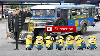 MINION IN THE PHILIPPINES RIDING A JEEPNEY AND SINGING MANILA [upl. by Ardnikal240]