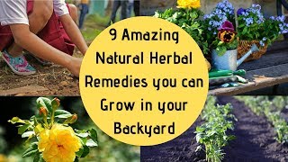 9 Amazing Natural Herbal Remedies you can grow in your Backyard [upl. by Aggarwal]