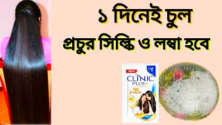 মাত্র ১ দিন এটা লাগাও চুল সিল্কি ঘন লম্বা হবে আর চুল পরবে নাhair growth remedies Hair Growth [upl. by Hephzibah633]