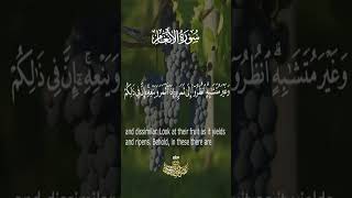 ٱنظُرُوٓاْ إِلَىٰ ثَمَرِهِۦٓ إِذَآ أَثْمَرَ وَيَنْعِهِۦٓ [upl. by Garvin]