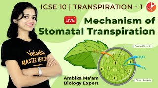 Transpiration Class 10 ICSE  Mechanism of Stomatal Transpiration  ICSE Biology  Vedantu Class 10 [upl. by Sixele913]