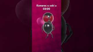 Komarac u sobi u 0300 [upl. by Elakram]