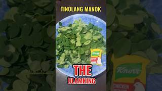 Tinolang Manok Simple Recipe [upl. by Ahtera]