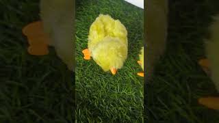 Cute mini baby chicken toys [upl. by Nahsed]