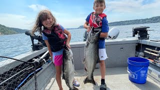 20 pound puget sound salmon [upl. by Irrol947]