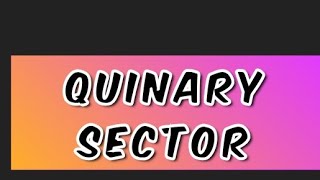 Quinary Sector  Economics [upl. by Florri]