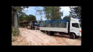 Trecker auf LKW verladen [upl. by Oht]