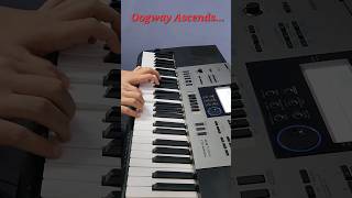 Oogway Ascends  Piano Cover  Kung Fu Panda [upl. by Leemaj]