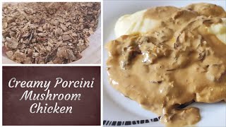 Creamy Dried Porcini Mushroom Chicken  A MustTry Recipe  tasty recipes at home [upl. by Candice467]