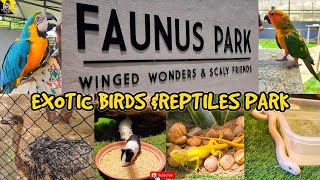 Faunus park🦜 Exotic birds amp Reptiles Park 🔥 Must Visit Tourist Place in Chennai  Vikiz Findingz [upl. by Neirrad45]