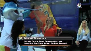 Marlins Fan Express [upl. by West]