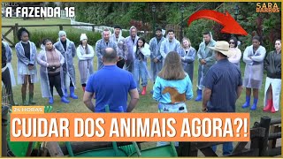 A MANHÃ COMEÇOU AGITADA Peões estão aprendendo a como cuidar dos animais na Fazenda 16 afazenda16 [upl. by Eveivenej]