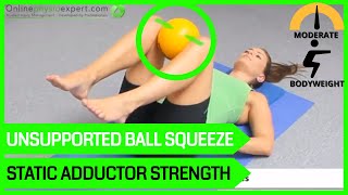 Static Hip Adductor Strengthening Exercise Tutorial Level 3  ONLINE PHYSIO EXERCISES [upl. by Auburn]