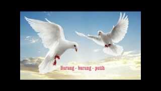 Burung burung Putih mp4 [upl. by Bridge241]