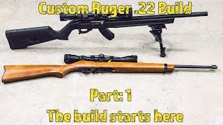 Custom Ruger 1022 Build  Part 1 the gear [upl. by Rosy]