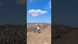 Happy Sukkot everyone sukkot jewish holliday kibbutz israel [upl. by Wall]