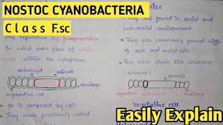 Nostoc Structure And Reproduction  Cyanobacteria  Class 11 Biology [upl. by Yzeerb]