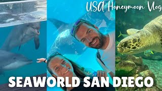 SEAWORLD SAN DIEGO 🐳🐬🦭 Day 24 of our Epic American Honeymoon [upl. by Sessler]