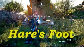 How to get Hares Foot  Make the Offering  Gullhlid Altar  Dawn of Ragnarok  AC Valhalla [upl. by Adok]