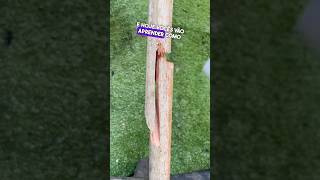 Como consertar cabos de vassouras 🧹 quebrados 👏😱 dicas tools diy shorts [upl. by Analram64]