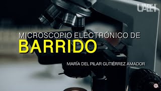 Microscopio Electrónico de Barrido [upl. by Chung]