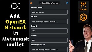 How to add openEx network in Metamask wallet [upl. by Enytsuj]