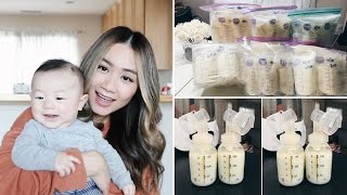 How I Pump 1200 ml of Breastmilk A Day  HAUSOFCOLOR [upl. by Akemahc]