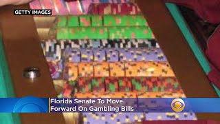 Florida Senate To Move Forward On Gambling Bills [upl. by Oetomit]