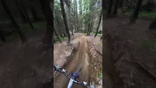 Hafjell bikepark mtb mtblife [upl. by Enidualc621]