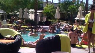 Palm springs pool party [upl. by Adhern]