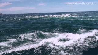 Corryvreckan whirlpool and tidal race [upl. by Eidnarb]