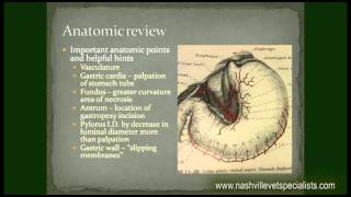 Abdominal Exploration and GI Surgical Technical Tips [upl. by Gough]