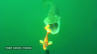 Savage Gear 3D Burbot in Action  Pike Fishing Waterwolf Underwater Footage [upl. by Clotilda]