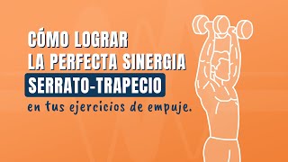 Cómo lograr la perfecta sinergia serratotrapecio en tus ejercicios de empuje 🙌 [upl. by Pevzner892]