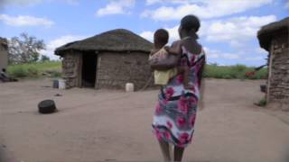 Maternal health report urges improved education and healthcare services for women [upl. by Neerom]