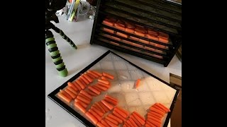 I Am Dehydrating Organic Baby Carrots [upl. by Annora]