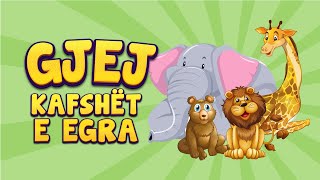 Loja Gjej Kafshët e Egra 🐻 Tingujt e Kafsheve Shqip për Fëmijë [upl. by Lura]