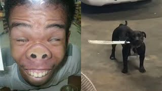 😂 PROVA A NON RIDERE CHALLENGE 😂 Video Divertenti amp Animali Divertenti 122023 [upl. by Relyk]