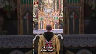 📜 La Evolución del Sacerdocio y el Celibato💍 Antiguo vs Nuevo Testamento⛪ [upl. by Pamella]