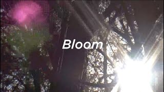 Mark Ambor  Bloom Cover [upl. by Yelah]