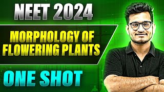 MORPHOLOGY OF FLOWERING PLANT in 1 Shot FULL CHAPTER COVERAGE TheoryPYQs  Prachand NEET [upl. by Meg]