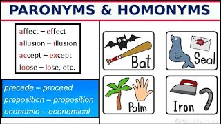 Paronyms and Homonyms Difference Examples II English Language English Vocabulary English Phrases [upl. by Tia]