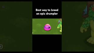 Best way to breed an epic drumpler mysingingmonsters msm [upl. by Ahsitauq660]