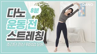 운동 전 필수 8분으로 빠르게 끝내는 초간단 전신 스트레칭ㅣ다노티비 [upl. by Tehr987]