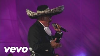 Vicente Fernández  El Rey En Vivo [upl. by Prissy]