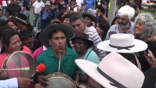 ENCUENTRO DE COPLEROS EN BARCENA 2015 [upl. by Braeunig33]