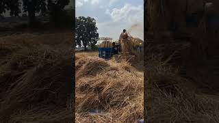 Dhan ki thrashing agrikrishi automobile agrimachinery farmequipment farming agrimachines [upl. by Herta348]