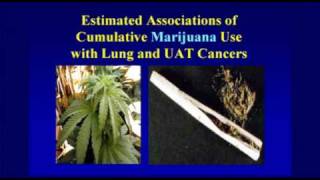 Smoked Cannabis Effect on Lungs pt 3 Dr Tashkin [upl. by Nort948]