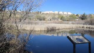 Reno Oxbow Nature Study Area [upl. by Alasteir]